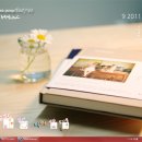 켓독 - 부산진구 동성로 137 | 켓독