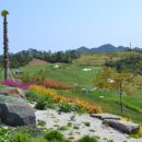 거제 드비치 골프클럽 이미지