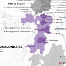 황금의 언덕 부르고뉴 와인 이미지