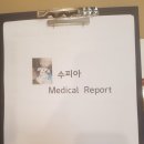 수피아동물병원 이미지