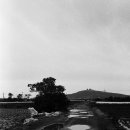 상모리-28 이미지