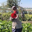 수정농장 이미지