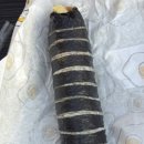 케이콜라보김밥북수원