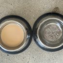 셀레네동물병원 이미지