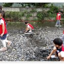 미원초교 금관분교 이미지