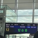 역전게임랜드 | 3주 일찍 떠난 결혼 1주년 기념 마쓰야마 여행🎎①