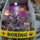 아이러브복싱 이미지