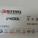 스팅엠에스