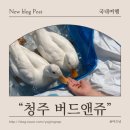 청주 버드앤쥬 내돈내산 솔직 후기｜동물농장급 체험, 여긴 꼭 가야 해..