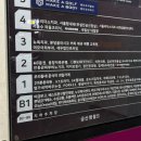 돌마로 | [성남시 분당구/미금역뷰티샵] '브로우원' 입술 반영구 화장(틴트립) 후기