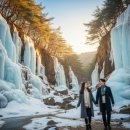 청송한우농장 | 12월에도 떠날 수 있다! 경상북도 겨울여행 명소 TOP 5 코스 안내