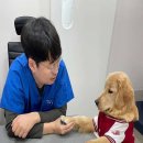 일죽종합동물병원 이미지