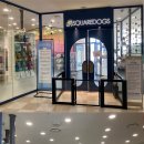 스퀘어독스 이미지