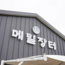 선바위메밀장터 이미지