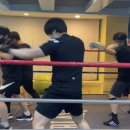 미스터복싱짐 이미지