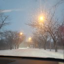 1인 미디어 나도 유튜버 | 밥 사진이 하나도 없는 여행 후기 믿으실 수 있으시겠어요? in 제주 (26.01.02~05)