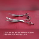 가위닥터사사끼가위 이미지