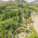 🌿 아산 피나클랜드 완벽 가이드｜사계절 꽃축제·불꽃놀이·동물체험까지 한 번에! 5월 축제 추천