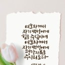 코모룡 닮았어~ 이미지