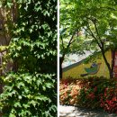 대청(계동)공원 이미지