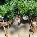 솔밭어린이집 이미지