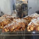 미스티크 이미지