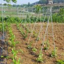 자연농원 이미지