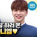 멈무
