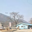 동명농장2 네이버블로그
