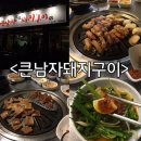 술펑취펑 이미지