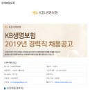 [KB생명보험] 2019년 경력직 채용공고(~1/20) 이미지