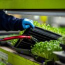 태학농장 이미지