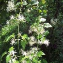 구암약수터 이미지