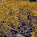 산동농산 이미지