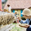 데일리목장 이미지