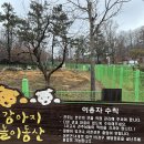 진도개테마파크 이미지