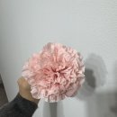 창업+부업~플라워 디자인 이미지