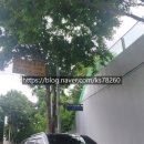 송촌세탁소 이미지