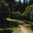 천개의 향나무숲 이모저모 12 이미지