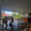 장미그린빌라 | [결혼#19]발리/우붓 풀빌라 신혼여행 숙소❤️차풍세발리!/그린타라스파 /폴로선물 구매기