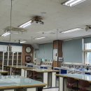 백마중학교 이미지