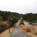 대포연대 이미지