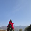 고모리691 이미지