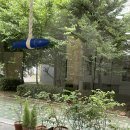 카멜세탁소 이미지