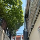 양지떡방앗간 이미지