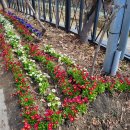 온천2동-14 이미지