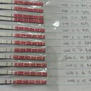 [ 임신기록 1 ] 임테기 역전과 임신확인서를 처음 받은날