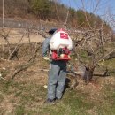 경상북도 농업기술원 이미지