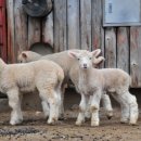 효원산업 이미지