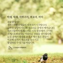 까치